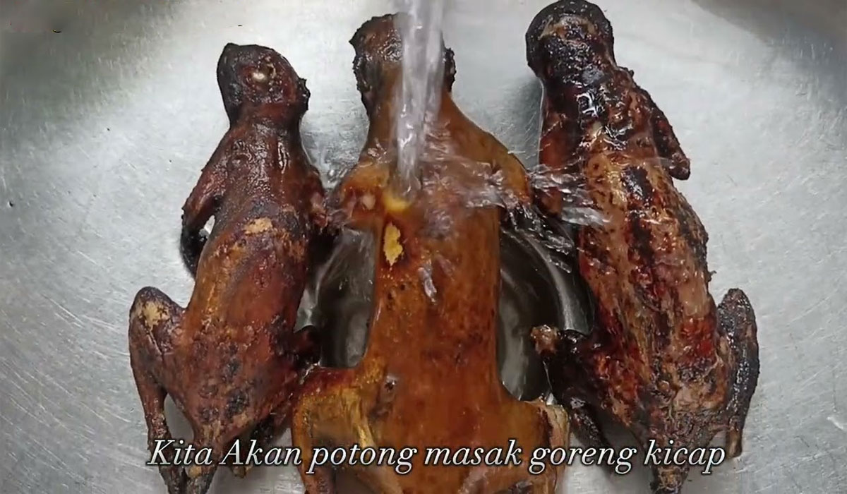 nikmati-kelezatan-tupai-bakar-sajian-tradisional-yang-langka nikmati-kelezatan-tupai-bakar-sajian-tradisional-yang-langka