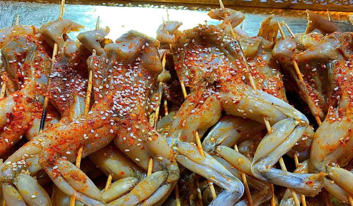 Bikin Penasaran! Kuliner Katak Paling Unik dan Ekstrem di Dunia Bikin Penasaran! Kuliner Katak Paling Unik dan Ekstrem di Dunia