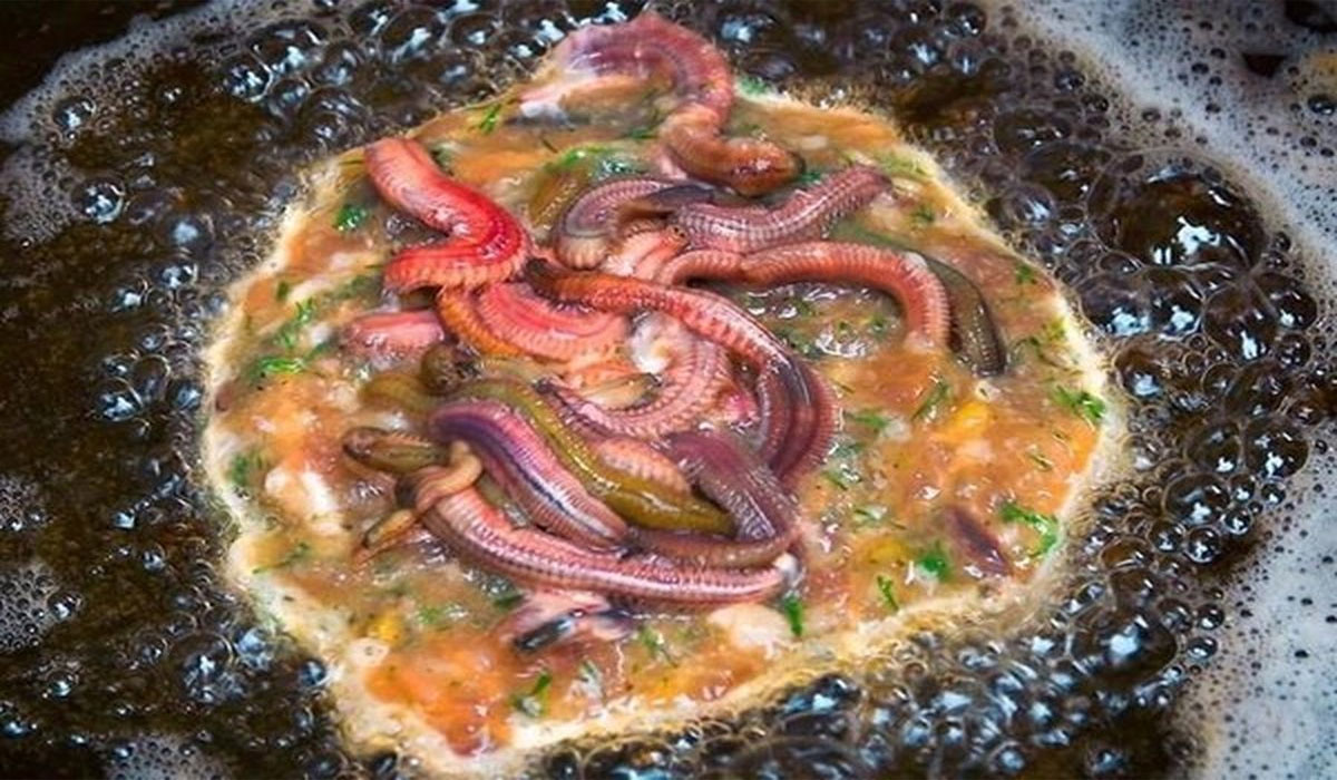 Sambal Cacing Pedas Ekstrem, Berani Coba Sensasi Uniknya